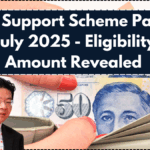 Silver Support Scheme Payouts in July 2025- Eligibility & Amount Revealed