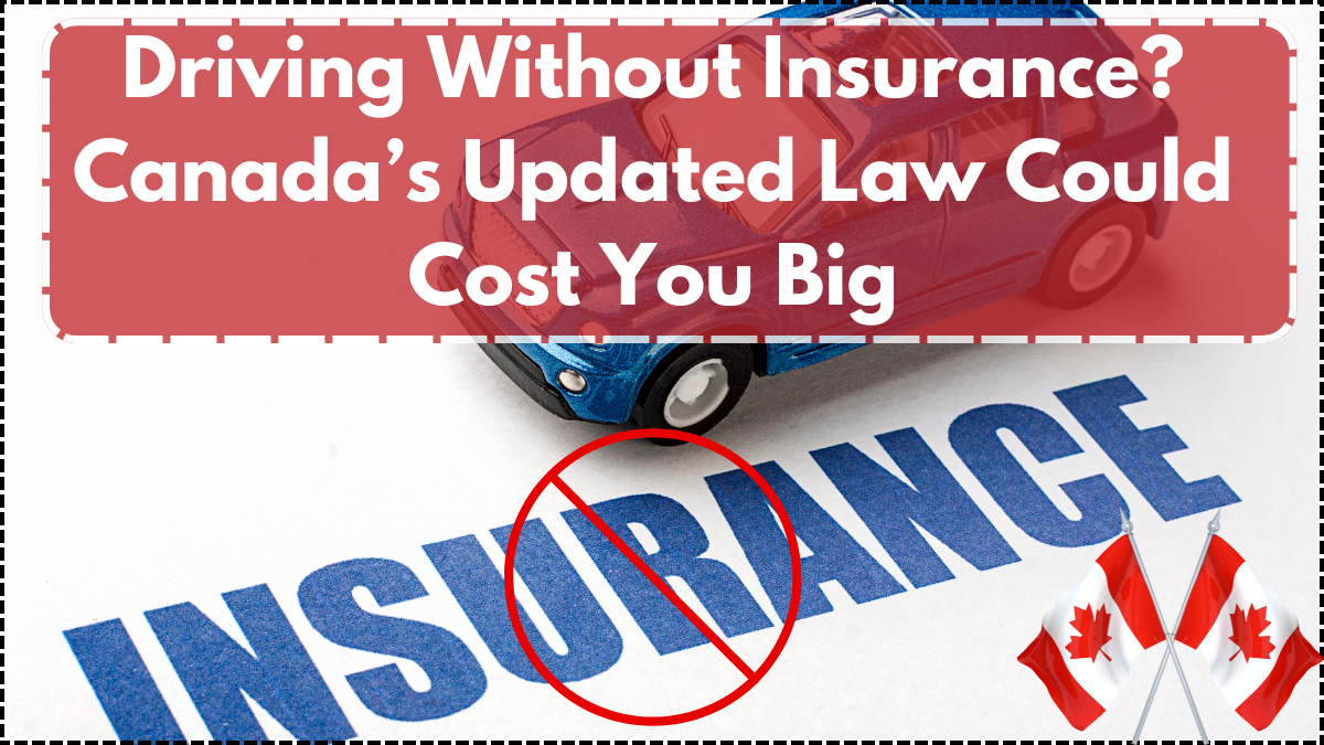 Driving Without Insurance? Canada’s Updated Law Could Cost You Big