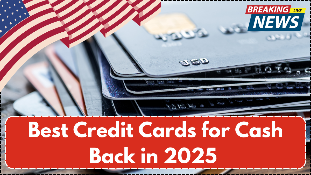 Best Credit Cards for Cash Back in 2025 – Top Picks by Category