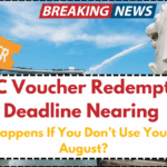 CDC Voucher Redemption Deadline Nearing – What Happens If You Don’t Use Yours by 31 August?