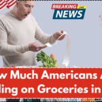 How Much Americans Are Spending on Groceries in 2025 – And How to Cut Costs